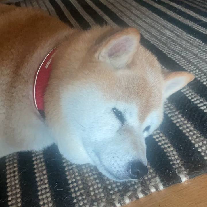 E6a8d1e5 69c8 4395 9c56 8a28e2fa95cb 1717232570071