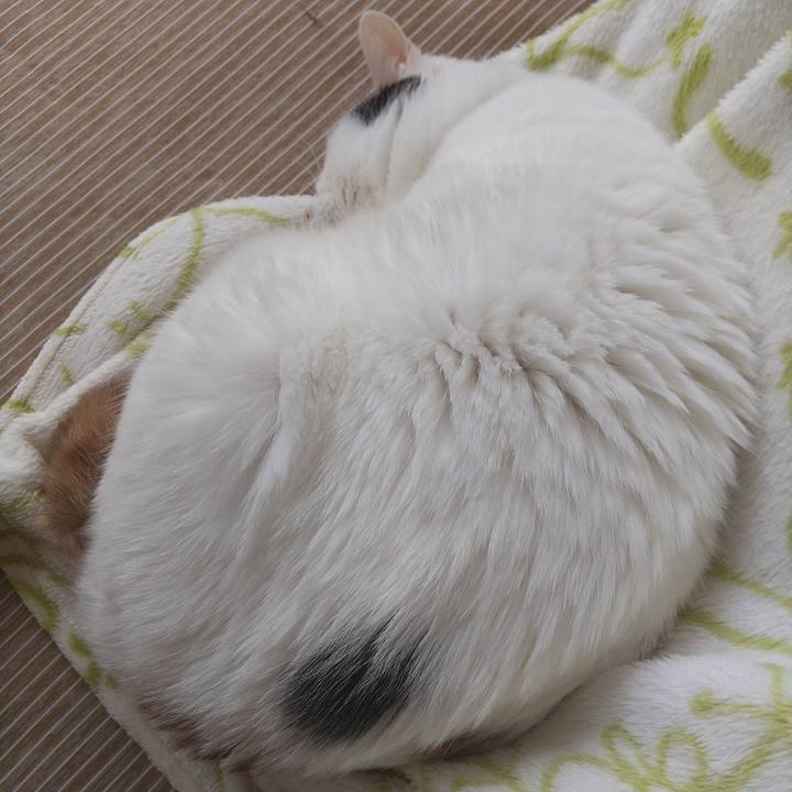 E6a8f50f 23df 45c4 860a cf7d94c24770 1665015640433