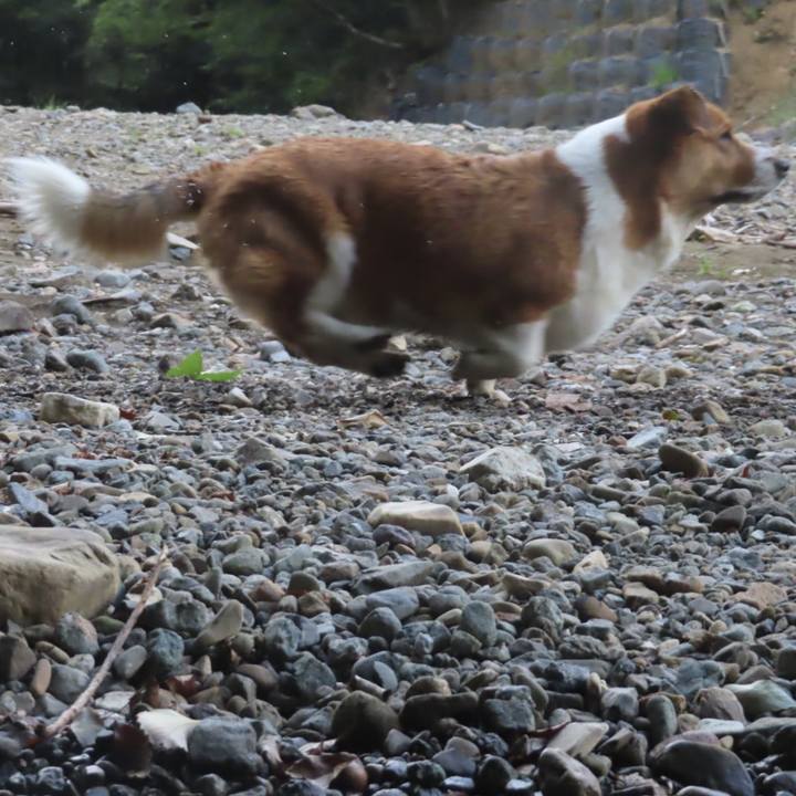 E6a90831 044e 4bc8 ab1f 959b95ab1215 1694393441305