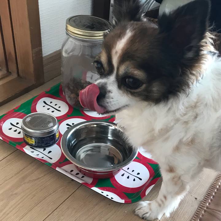 E6a95103 a418 4bea a8d3 380cc5309c38 1602985093507