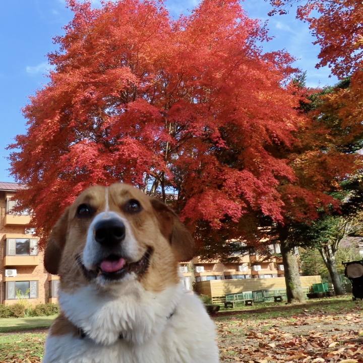 E6a97d95 aeeb 4f72 9038 efe0b9908fcf 1699402270209