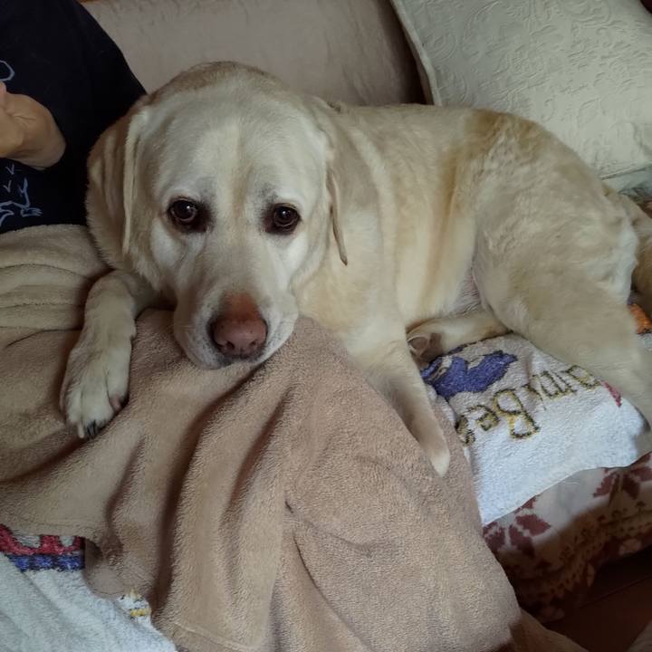 E6a986f1 a330 4bef 9917 eb6508d7f1d8 1708664101993