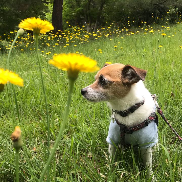 E6a98e3c cad9 40a1 9687 f0430c9b195f 1527046462112