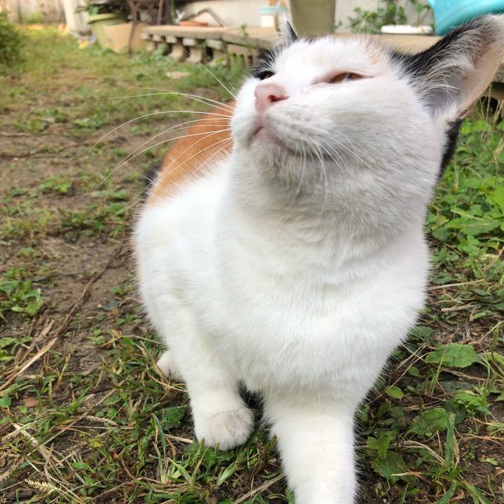 E6a9c113 44c8 4006 8a99 b721c0e2aa2a 1601331587609