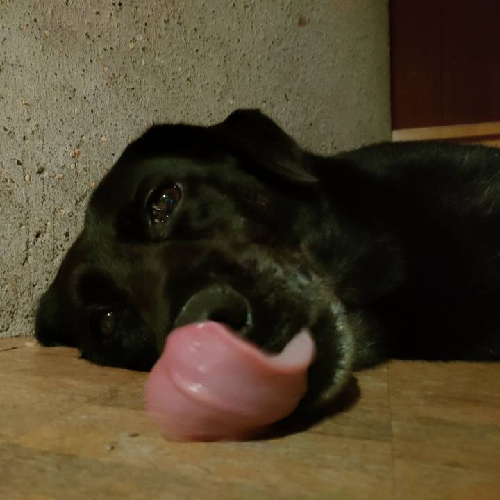 E6a9d3fa da68 4b54 b7f2 aee9586004ae 1693572702408