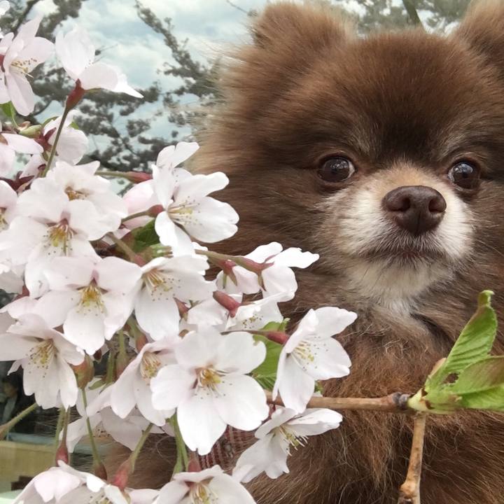 E6a9db4c a2b0 4da6 8d4c efbd60fb3b7a 1524877591262