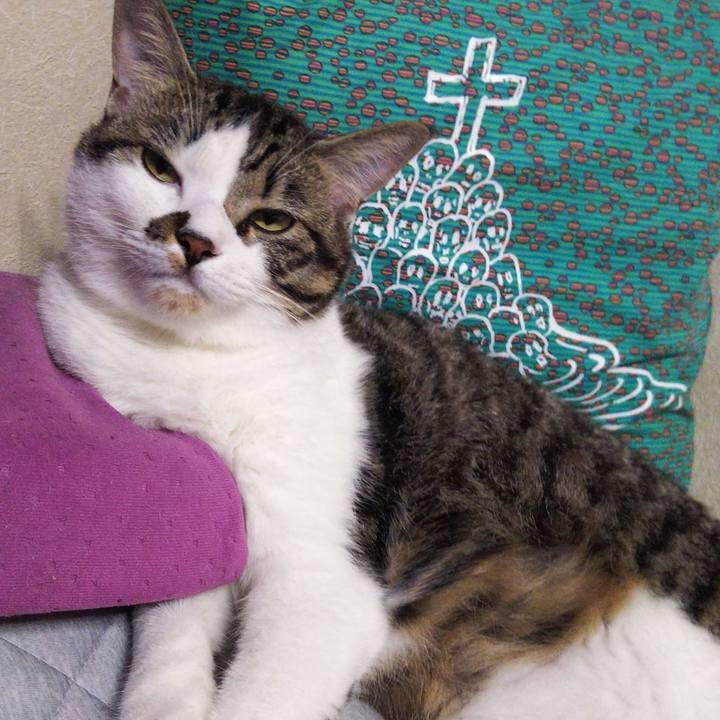 E6aa1264 51aa 46af b728 5c4ce1459661 1631950800973