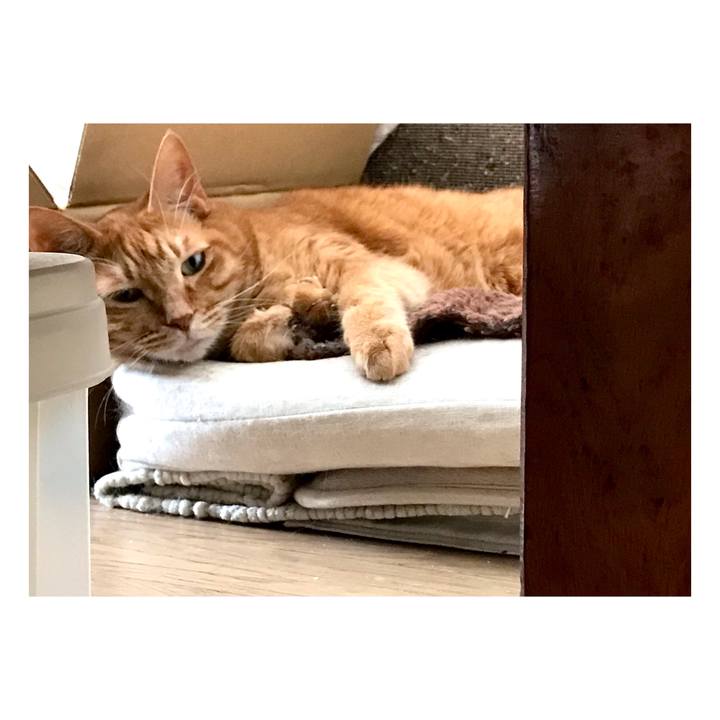 E6aa359b 2fd9 4cee ba1a 9a00de5228de 1642473858379