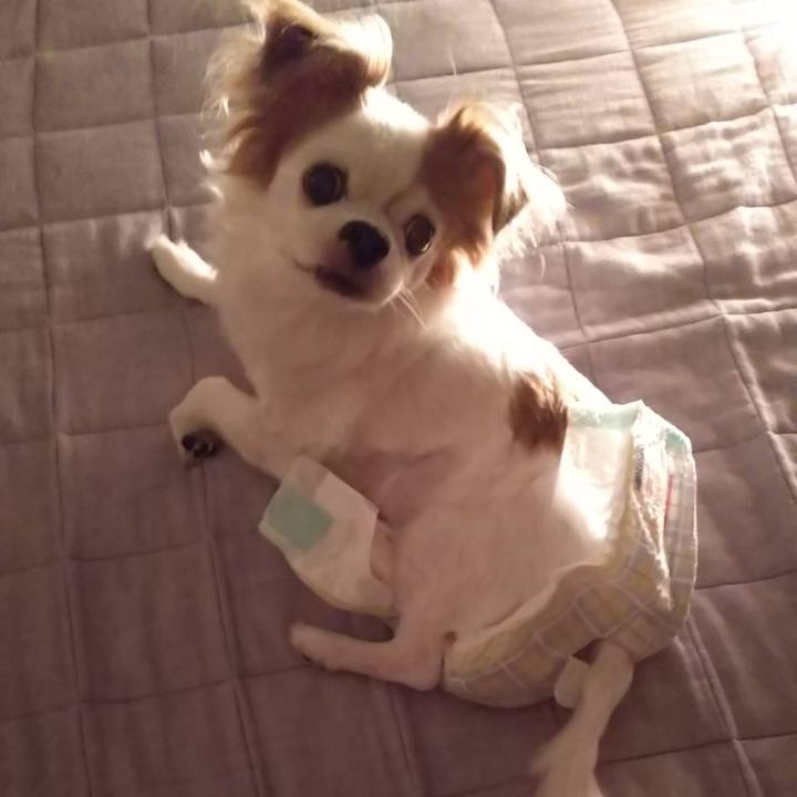 E6aa448c dbb5 40e6 ad1a 90088e3cdfe1 1602522707488