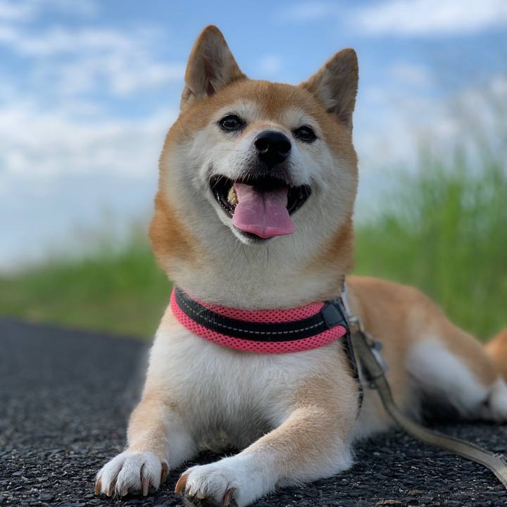 E6aa8691 b5e2 42c1 8134 059b3e489984 1597274991892