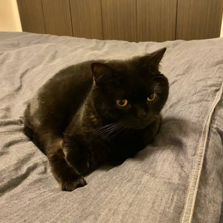 E6aaa681 d984 4404 884b c113e35a44f7 1673443684229