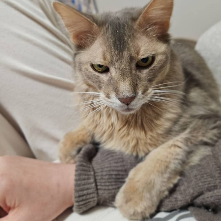 E6ab0312 c557 445a 8357 6cf811c525d7 1773920544999