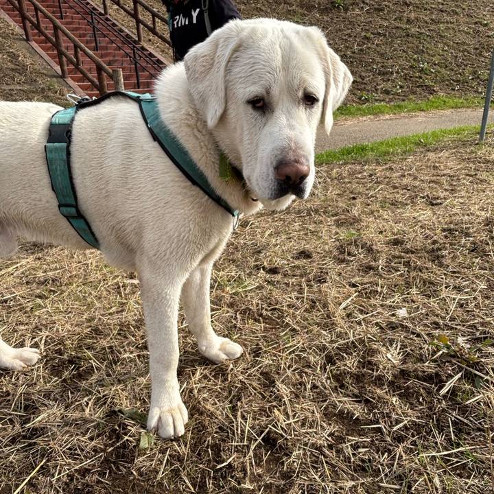 E6ab08a8 a26d 43e3 b233 d8803d980472 1766885373227