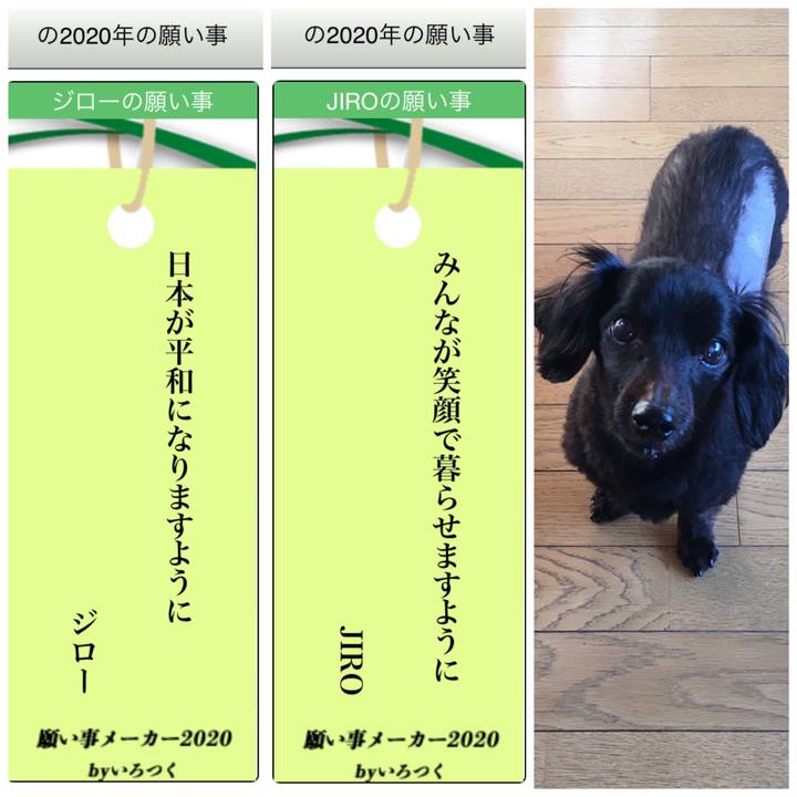 E6ab1d67 349e 4fb0 845b 6598a9fde7ec 1594088153282