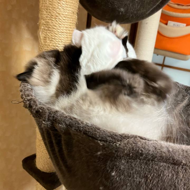 E6ab3309 badb 40ba 8ce7 ec5c581bc132 1664190537558