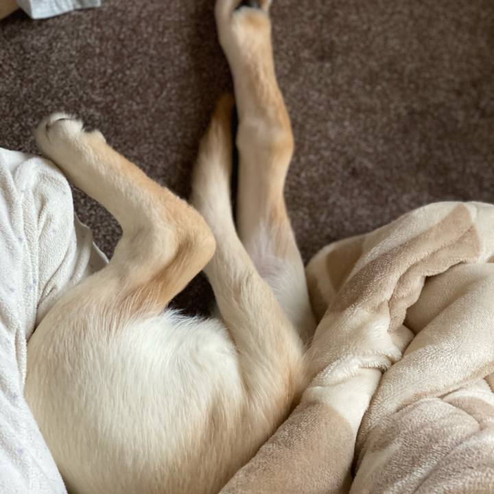 E6ab64ab d748 4140 b2c3 7c60b440a02e 1615594720993