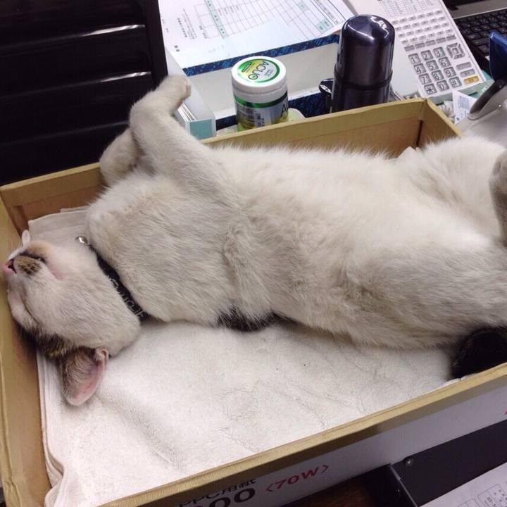 E6ab6a0f fc43 4ca2 a1bb 4186f9bcd21b 1508595014943