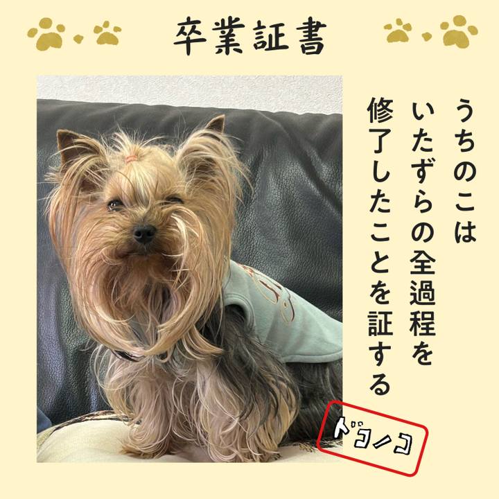 E6ab840c 61b4 4203 875c 5f86ccf5b17f 1771836861028