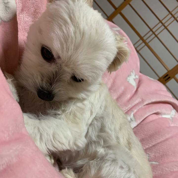 E6abd47e b7d7 4c1b 8375 343da512aa0e 1580121858688