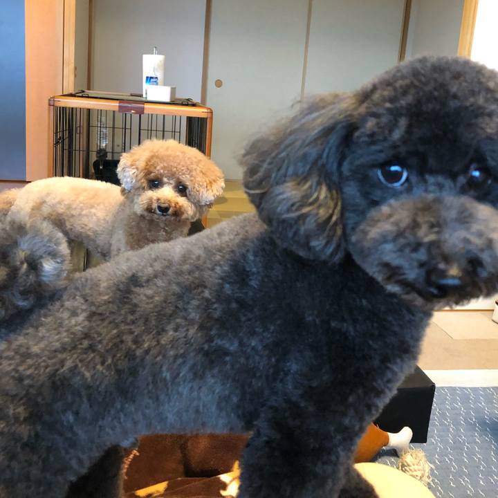 E6ac0779 aaa8 46f8 820f d52e7301ba59 1603370599267