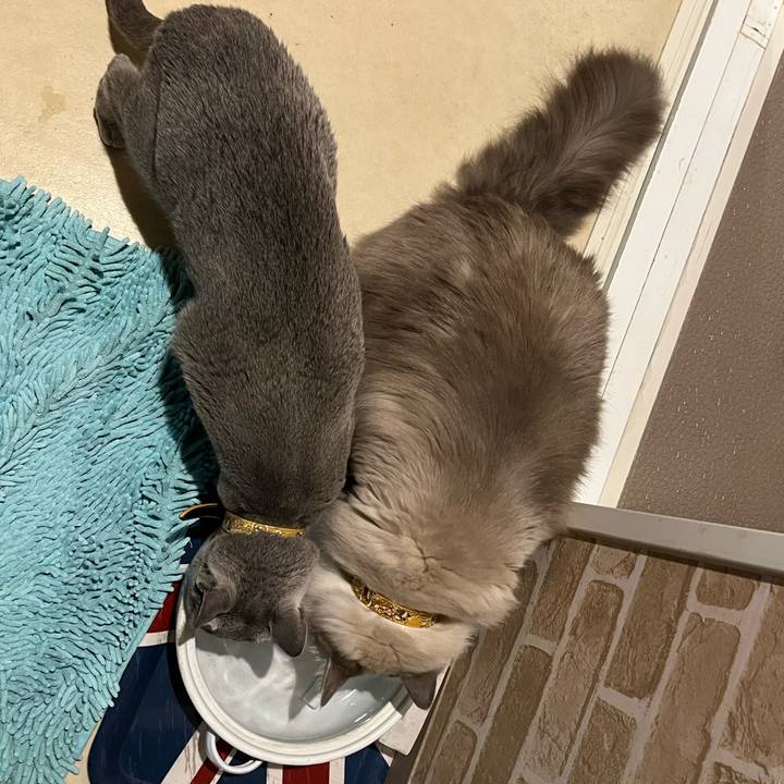 E6ac0f66 3a81 4108 9b6e 30e1a520225f 1642765709014