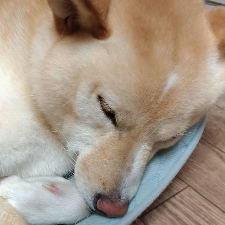 E6ac24fb aefc 4c20 9a81 3fd5b330a686 1566645782097