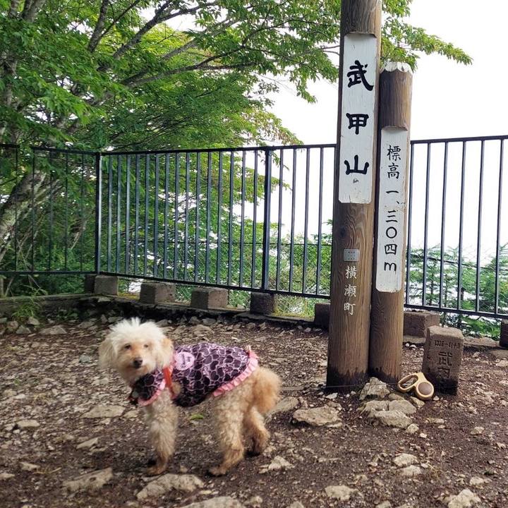 E6ac3b70 cca7 4de4 a024 05f191e87730 1687581037892