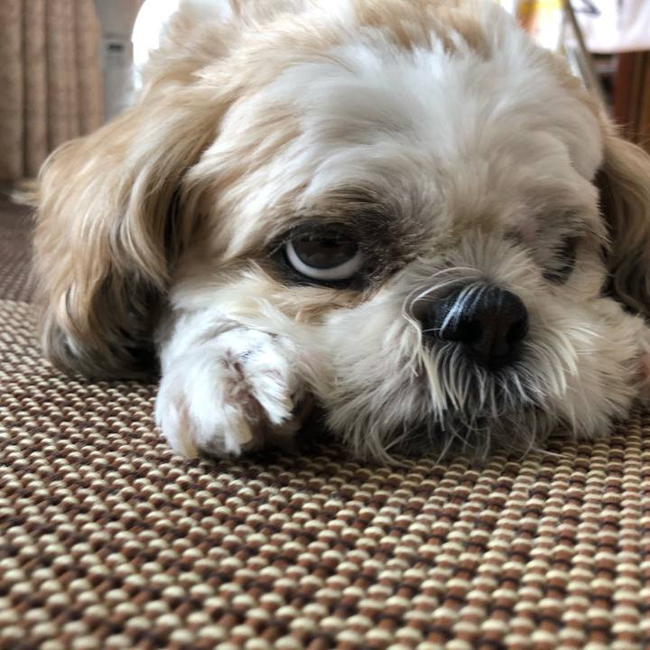 E6ac757d 6202 4185 b2d4 a64cdcd7e29d 1597364455179