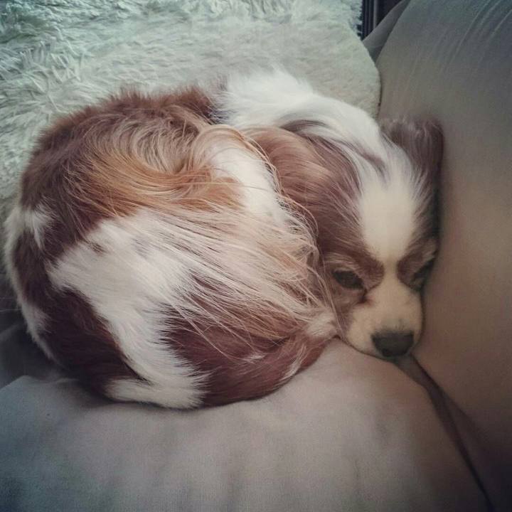 E6ac857c 211b 4e1e 9f17 b23c0d009f72 1512950108585