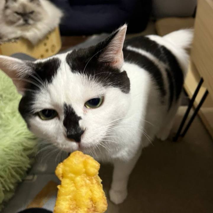 E6aca2a9 64ca 4d75 9c30 e56bac536b50 1764418122458