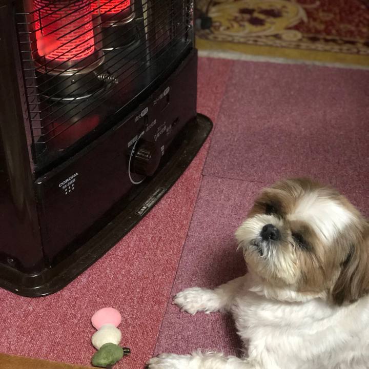 E6acb290 c75a 4f4a bbf3 7f0a25166fdc 1542542431502