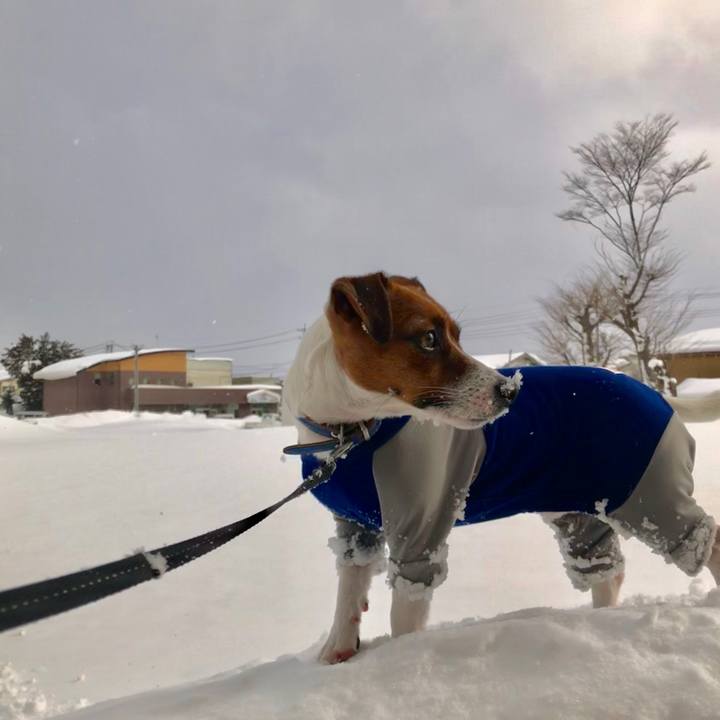 E6acc9e0 25fe 4109 99f2 8452b1b1002f 1548338508539