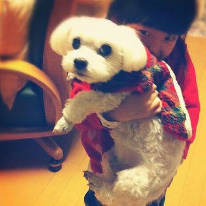 E6acfbb4 3ab7 44cc bcd4 0c347cd6d8da 1528646263959