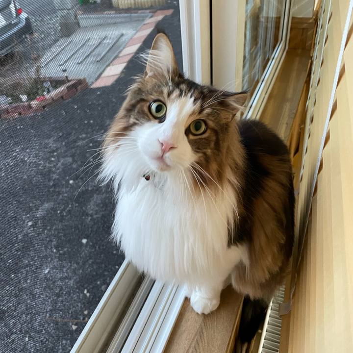 E6ad0940 213d 424d abe3 2a4fd668dd2b 1680294315803