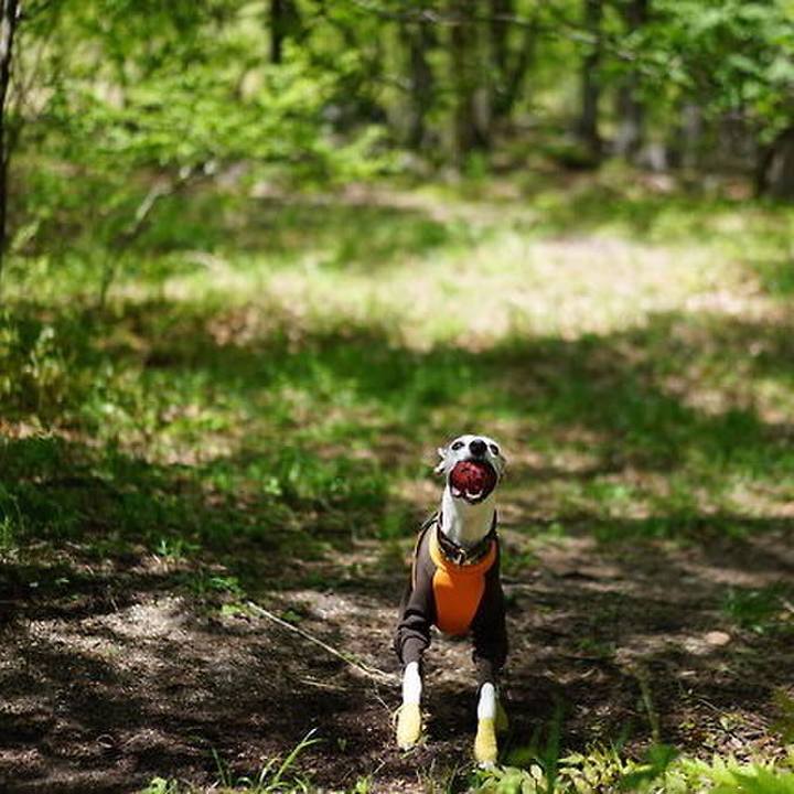 E6ad1e1a 51ba 4f11 9cec f83c9812ec29 1527425476714