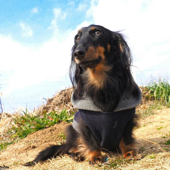 E6ad5fde 2b1d 488e b72a 1d7435a308ce 1519096122403