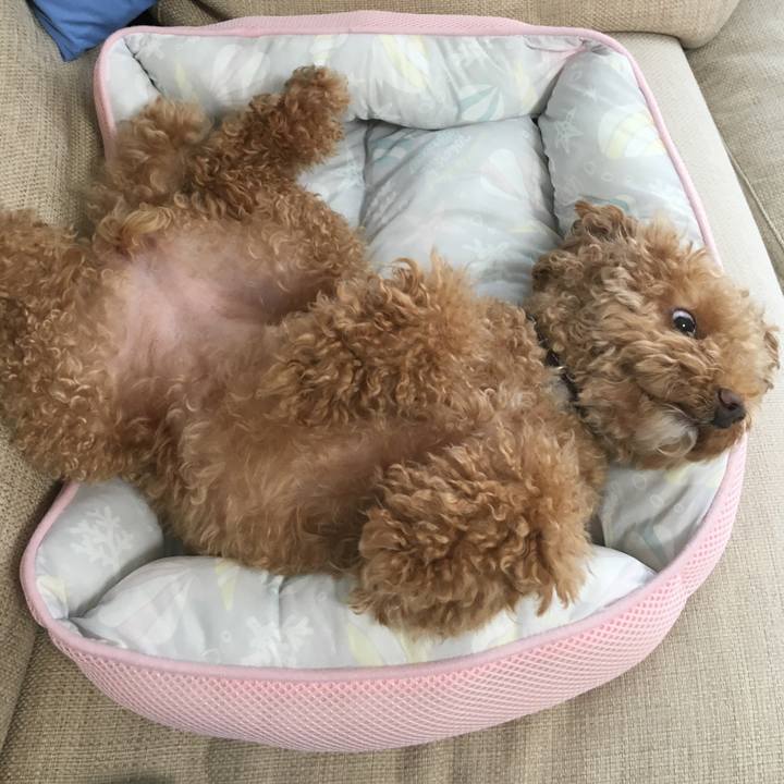 E6ad8204 df51 4e56 a39c ced7bafbe636 1530830274219