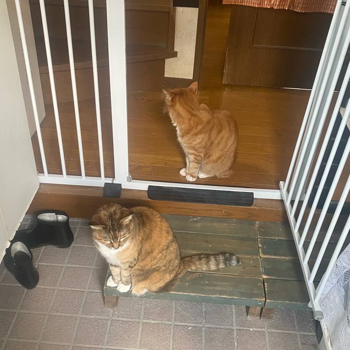 E6ad9061 3c1d 41e2 804f ee6a41a3312f 1748752988474