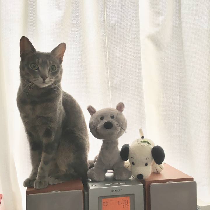 E6adb7b3 416e 44b9 bc21 98b2b933a6ed 1518220572741