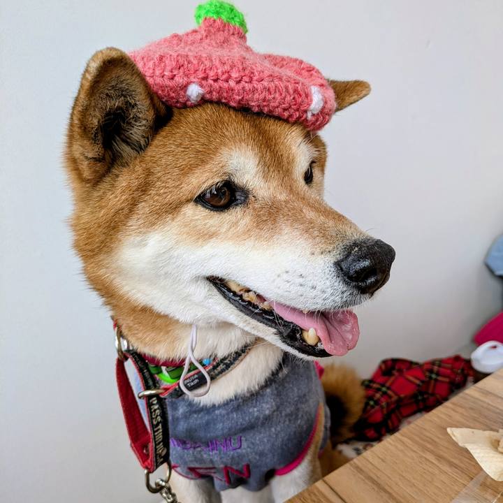 E6adc2cf 2747 4669 ac94 03f7ccc8cef7 1742454798350