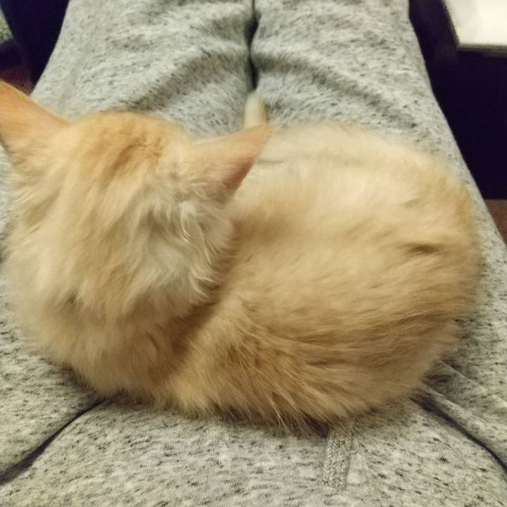 E6adda0a 6c64 446e 920e 33e7a1be6a9f 1604139685619