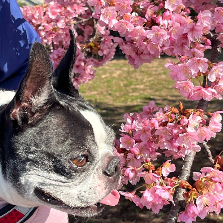 E6adfb4c ca84 4103 aab1 608001ba68b5 1772243606327