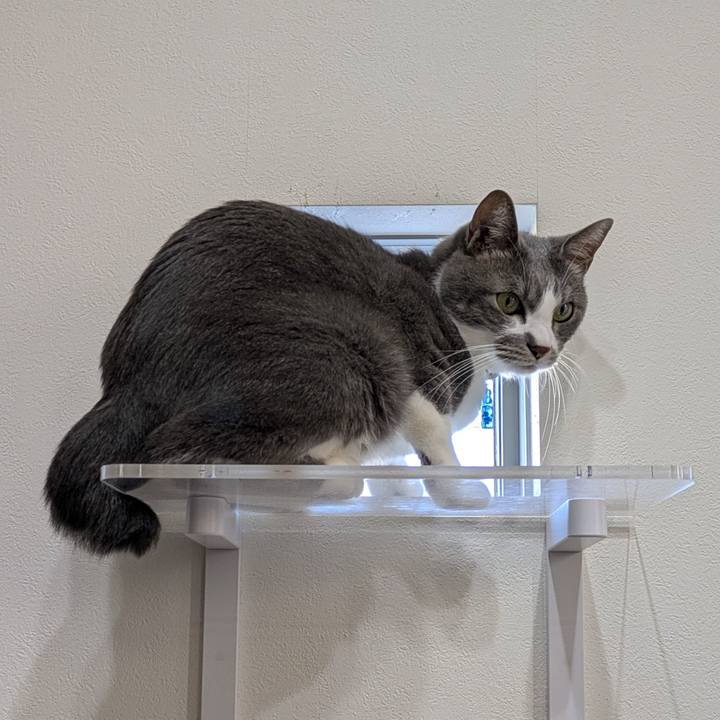 E6ae3415 ee63 4f89 863c ce354def0620 1763107625737