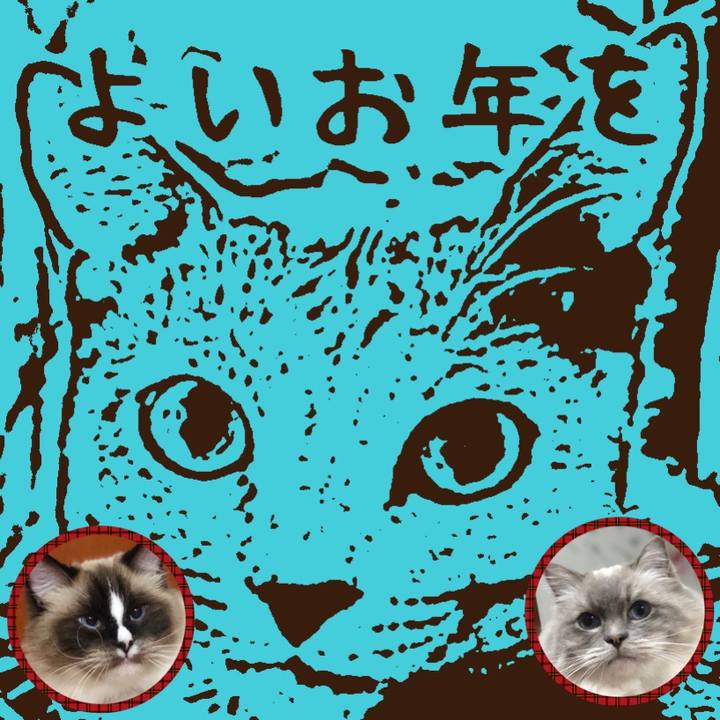 E6ae4bd9 f89a 49d5 a9cd 1445cb13ee70 1546261325369