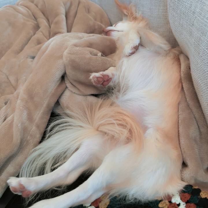 E6ae5e53 592e 4d27 8710 bdf8ab4878fd 1703745375200