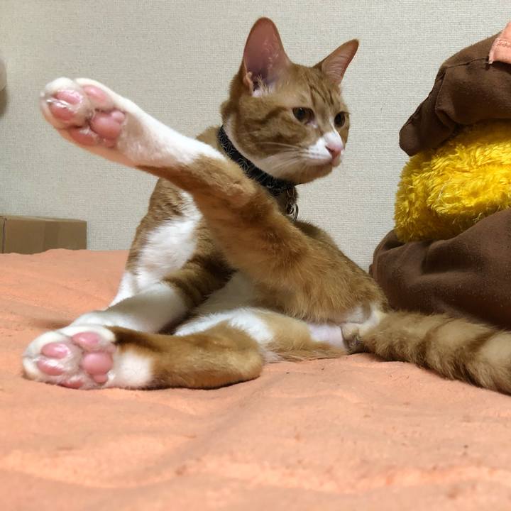 E6ae60f6 29be 4d98 95ca 50a5b8b51c24 1557734956283