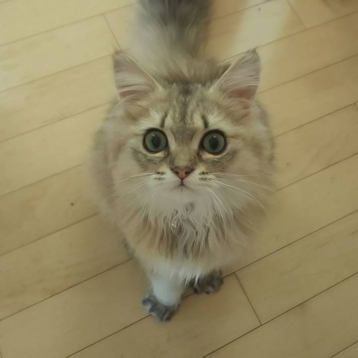 E6ae83bf 87c0 4005 8b61 286540ddbf85 1563334661374