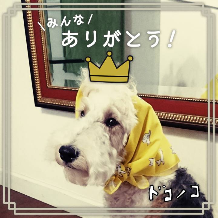 E6af2f09 a8d0 4307 8775 3f99130eab70 1623796739537