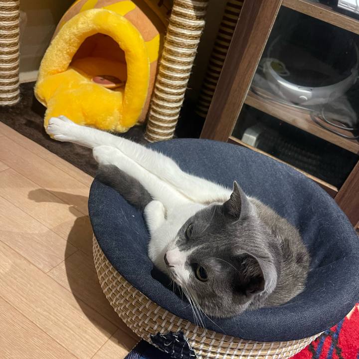 E6af8500 b29a 494a a070 d0be1aff7379 1680863658480