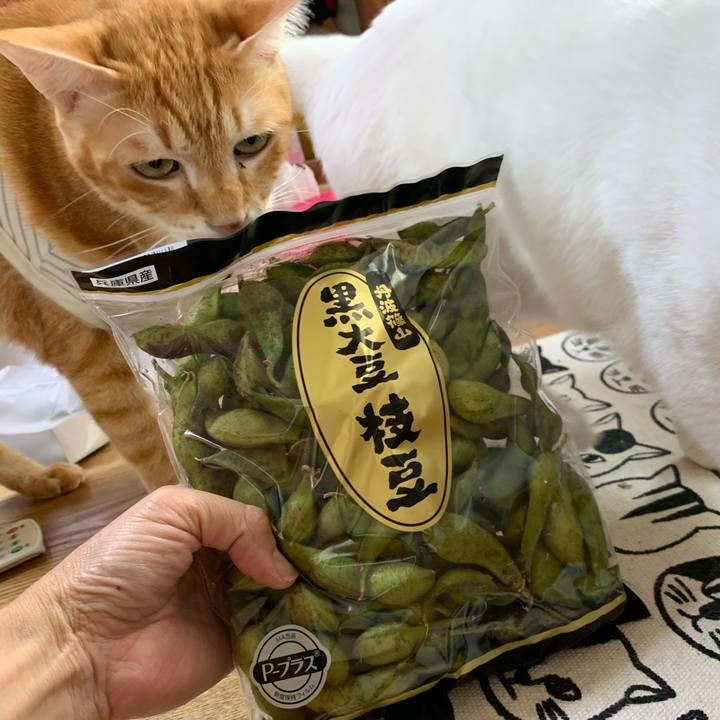 E6b00274 c7af 41d6 9cda c26af43e9775 1571914002984